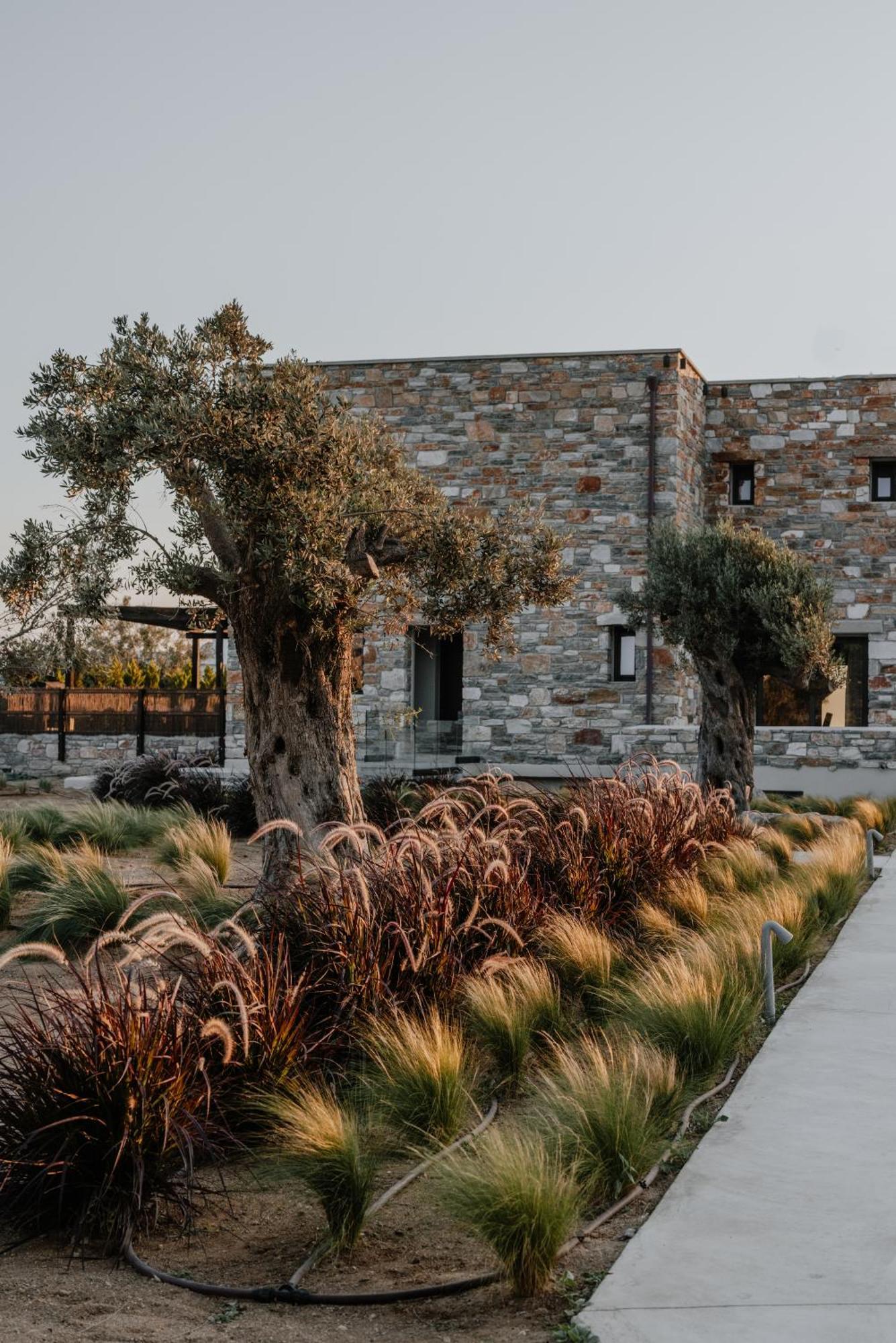 Onym Curated Villas Pláka المظهر الخارجي الصورة